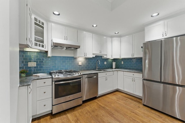 200 Winchester St Unit 1, Brookline, MA 02446 - kitchen with stainless steel appliances, under cabinet range hood, a sink, white cabinetry, and light stone counters
