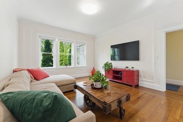 200 Winchester St Unit 1, Brookline, MA 02446 - living area with crown molding, wood finished floors, and baseboards