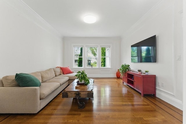 200 Winchester St Unit 1, Brookline, MA 02446 - living room with ornamental molding, wood finished floors, and baseboards