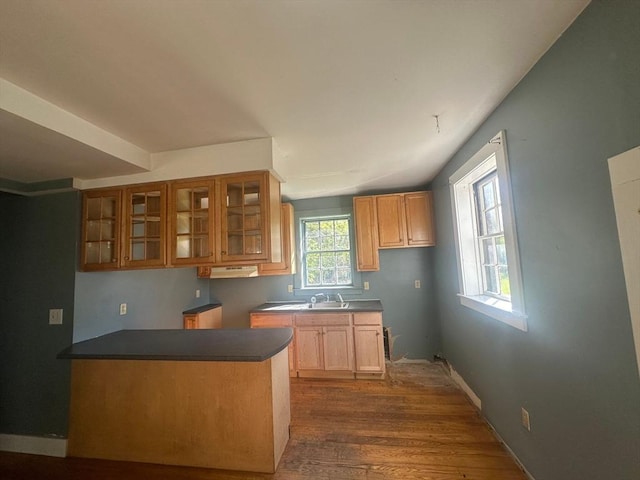 91-93 Mulberry St, Springfield, MA 01105 - kitchen with dark countertops, wood finished floors, a sink, baseboards, and glass insert cabinets