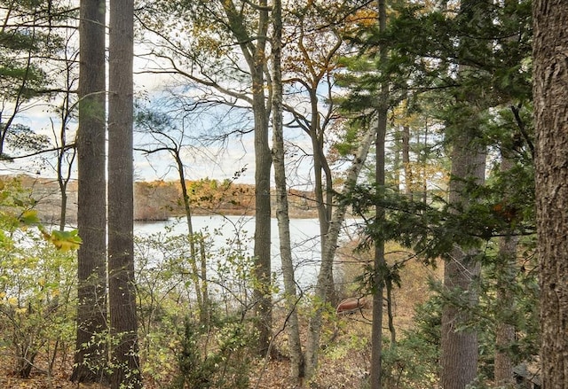 water view featuring a heavily wooded area