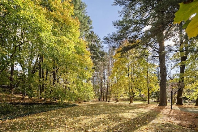 view of nature