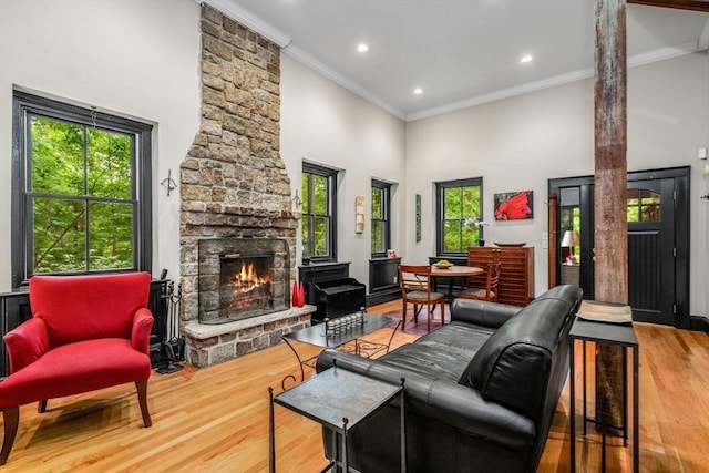 994 Centre St, Boston, MA 02130 - living room with a high ceiling, healthy amount of natural light, ornamental molding, a stone fireplace, and wood finished floors