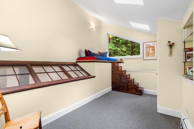 994 Centre St, Boston, MA 02130 - hallway with a skylight, a baseboard radiator, carpet flooring, and baseboards