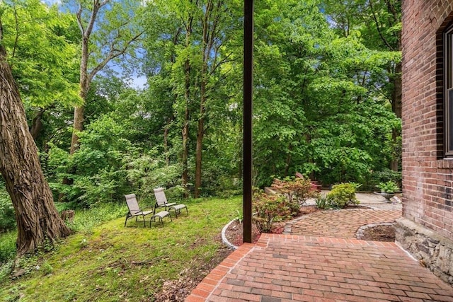 994 Centre St, Boston, MA 02130 - view of yard with a patio area