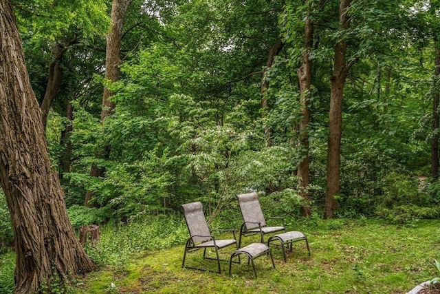 994 Centre St, Boston, MA 02130 - view of yard with a wooded view