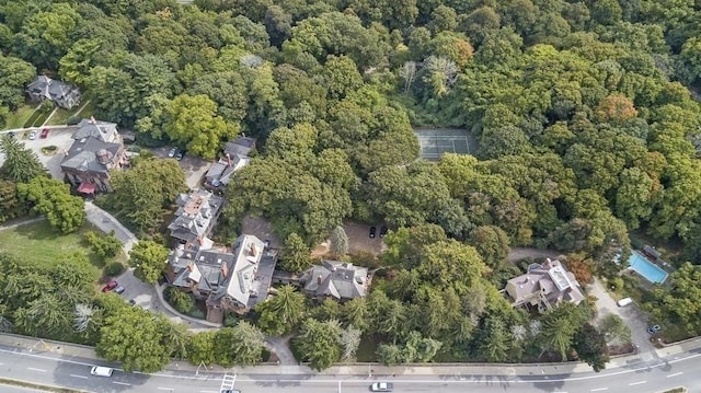 994 Centre St, Boston, MA 02130 - aerial overview of property's location featuring a forest