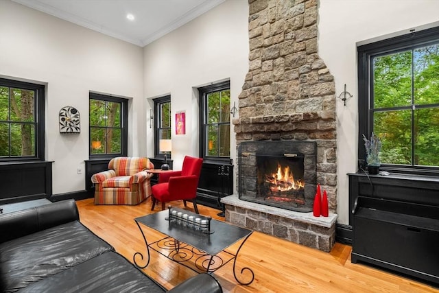 994 Centre St, Boston, MA 02130 - living room with ornamental molding, wood finished floors, plenty of natural light, a fireplace, and a high ceiling