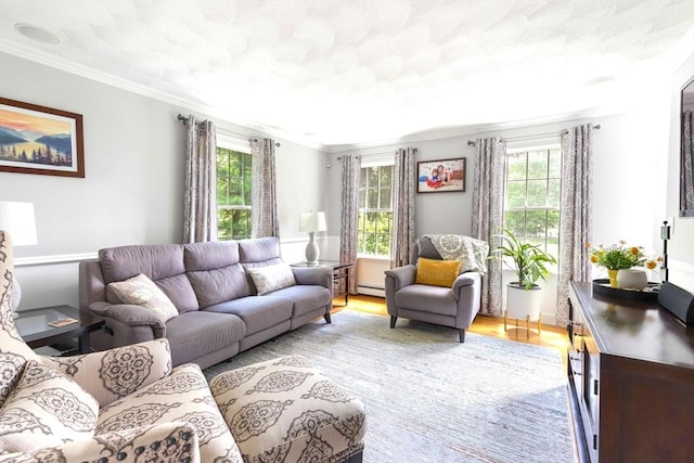 40 King Philip Dr, Rehoboth, MA 02769 - living room with healthy amount of natural light, a baseboard radiator, ornamental molding, and light wood finished floors