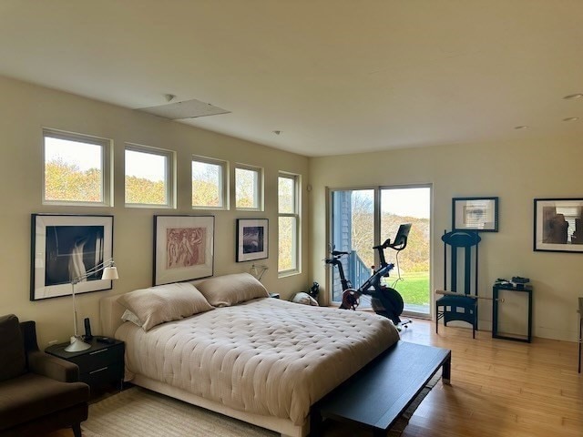 bedroom with light hardwood / wood-style flooring, multiple windows, and access to exterior