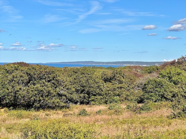 view of mountain feature with a water view