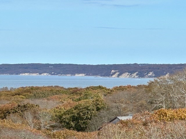 view of water feature featuring a mountain view