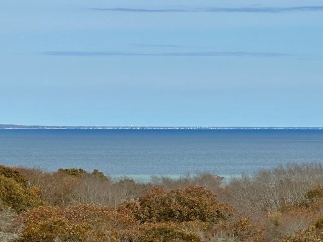 view of water feature