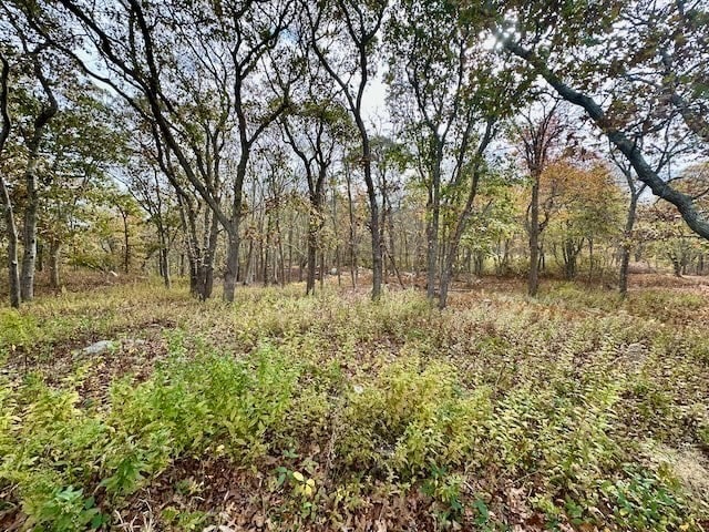 view of local wilderness