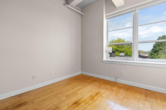 51 Lafayette St Unit 304, Salem, MA 01970 - empty room with baseboards, healthy amount of natural light, and light wood-type flooring