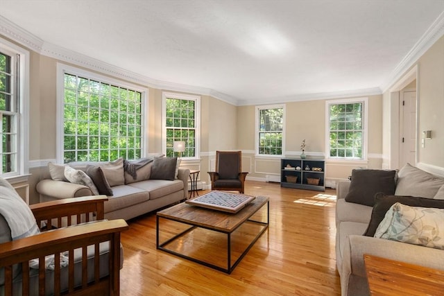 48 Pine Hill Dr, Walpole, MA 02081 - living room featuring crown molding, light wood-style floors, healthy amount of natural light, a wainscoted wall, and baseboard heating