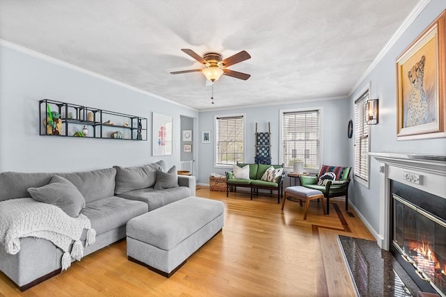 living area featuring a fireplace with flush hearth, light wood finished floors, crown molding, ceiling fan, and baseboards
