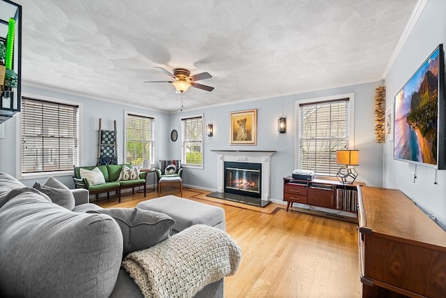 living room featuring crown molding, a glass covered fireplace, light wood-type flooring, and a ceiling fan