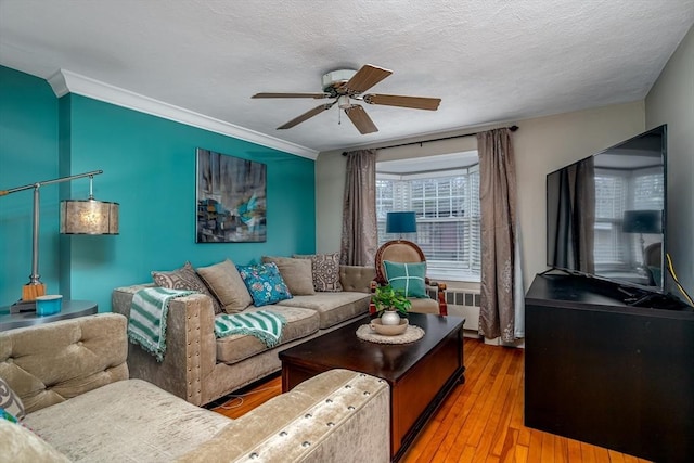 80 Andover, Peabody, MA 01960 - living room with light wood-style floors, ornamental molding, and a ceiling fan