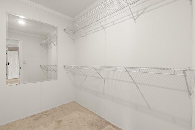 18 Skyview Dr, Brockton, MA 02301 - walk in closet with carpet floors