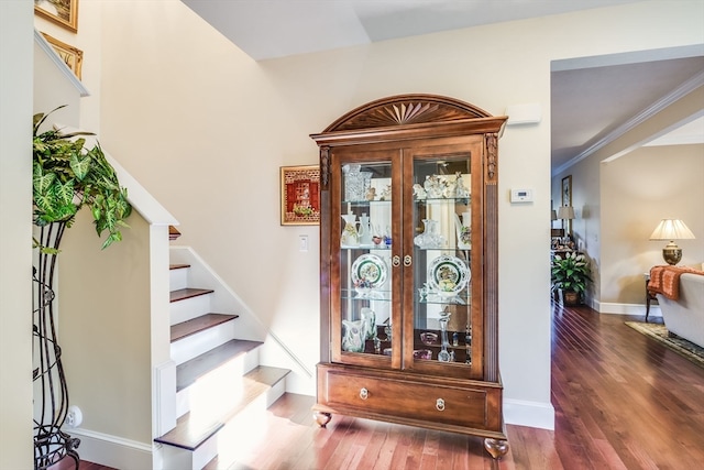 interior space featuring dark hardwood / wood-style floors and crown molding