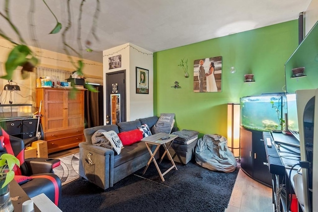 222-R Kimball St, Fitchburg, MA 01420 - living room with wood finished floors