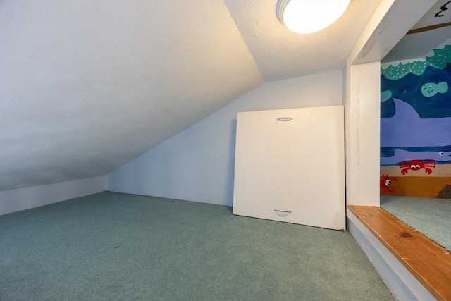 75 Union St, Holliston, MA 01746 - bonus room featuring lofted ceiling and carpet