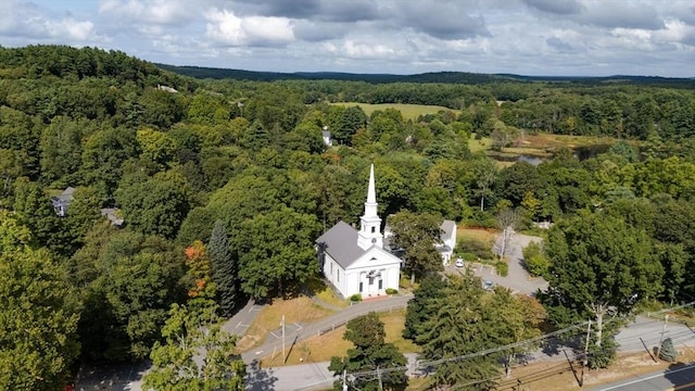 bird's eye view