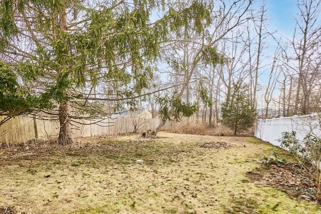 view of yard featuring a fenced backyard