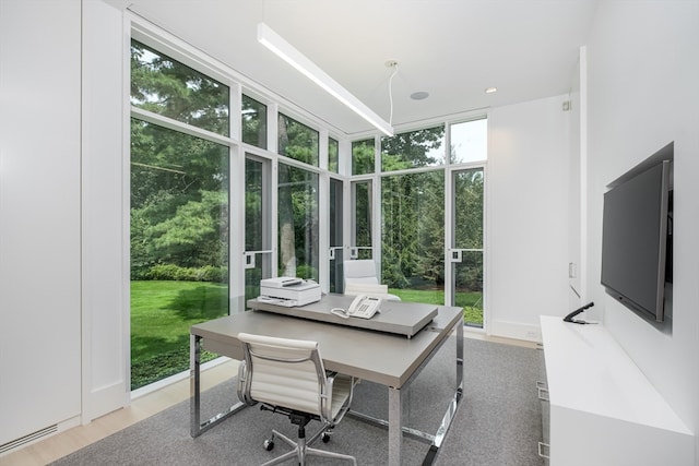 dining space with floor to ceiling windows and hardwood / wood-style floors