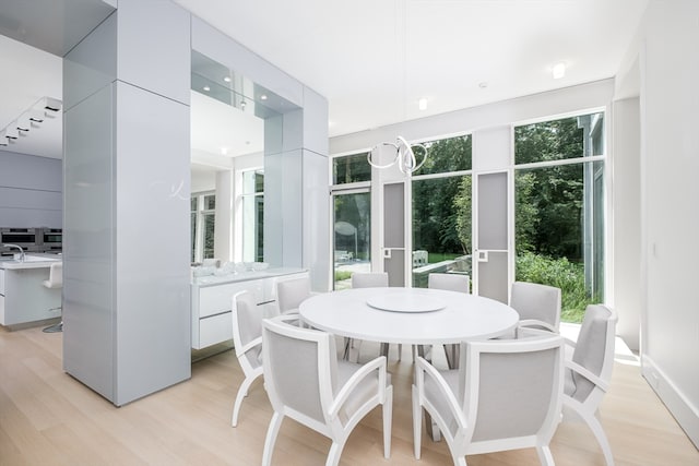 dining room featuring a wealth of natural light and light wood-type flooring