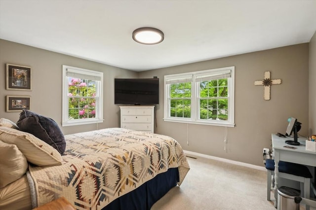 24 S Loomis St, Southwick, MA 01077 - bedroom featuring multiple windows, light carpet, and baseboards