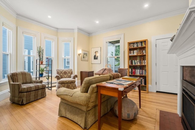 14 Grand View Ave, Somerville, MA 02143 - living area with a baseboard heating unit, crown molding, light wood-style flooring, a fireplace, and baseboards
