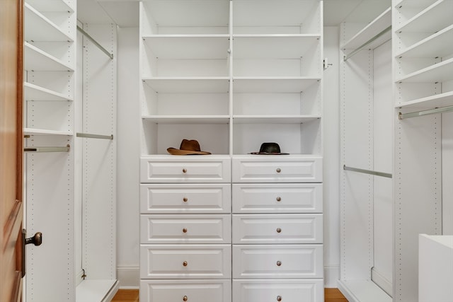 walk in closet with light hardwood / wood-style flooring