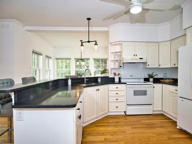 3 Eliza Ln, Dartmouth, MA 02747 - kitchen featuring white appliances, a sink, a peninsula, under cabinet range hood, and dark countertops