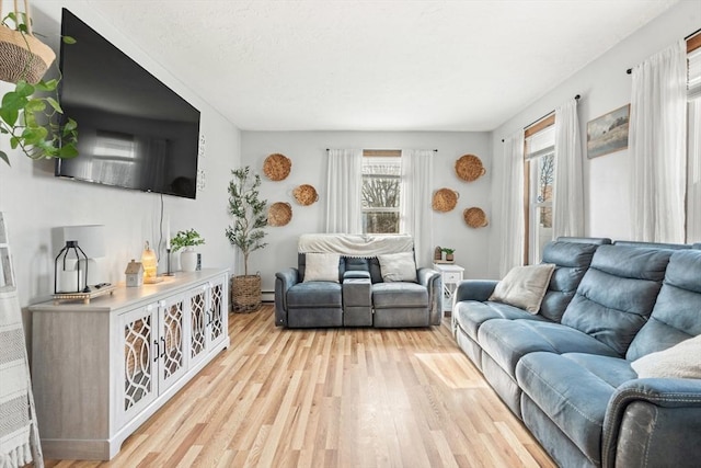 living area featuring light wood-style floors