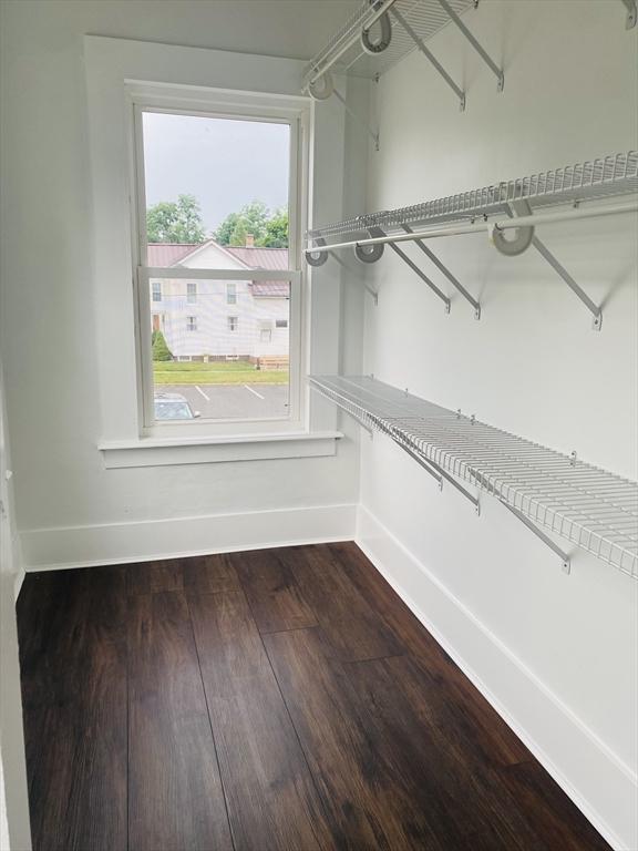 spacious closet with wood-type flooring