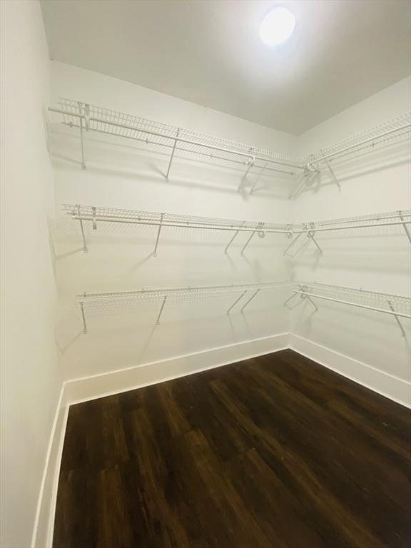 walk in closet with hardwood / wood-style flooring