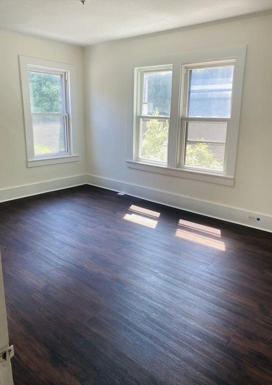 spare room with dark hardwood / wood-style floors