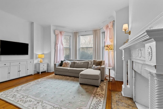 living area featuring baseboards, wood finished floors, and a fireplace
