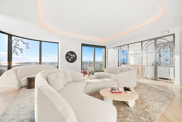 living area featuring a tray ceiling and wood finished floors