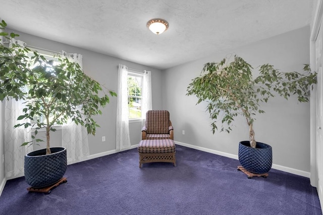 42 Mcgregory Rd, Sturbridge, MA 01566 - sitting room featuring carpet floors and a textured ceiling