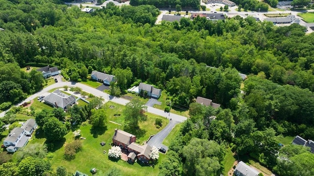 42 Mcgregory Rd, Sturbridge, MA 01566 - view of property location with a forest