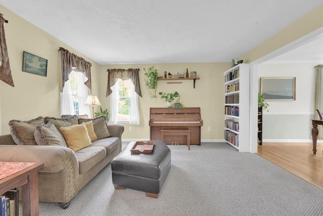 42 Mcgregory Rd, Sturbridge, MA 01566 - living room featuring baseboards