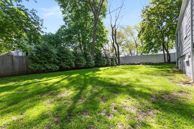 46 Leonard St, Woburn, MA 01801 - view of yard