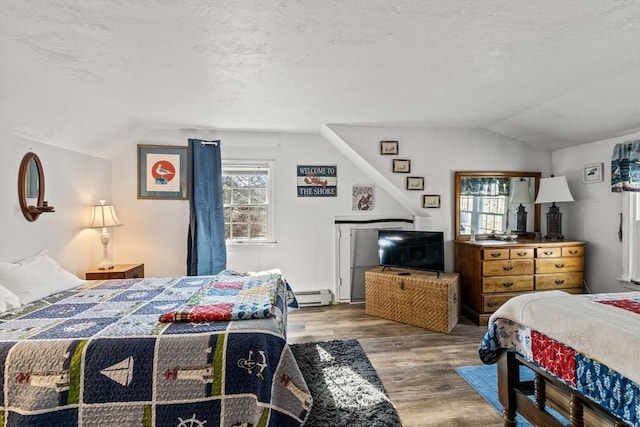 125 Wamsutta Rd, Eastham, MA 02642 - bedroom featuring lofted ceiling, a baseboard heating unit, and wood finished floors