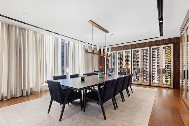 dining space with plenty of natural light, wood walls, and light wood-type flooring