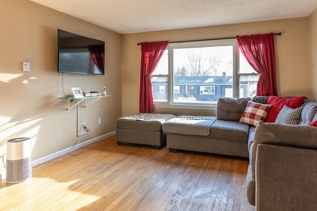 living room featuring wood-type flooring