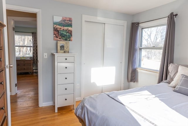 bedroom featuring light hardwood / wood-style floors and a closet