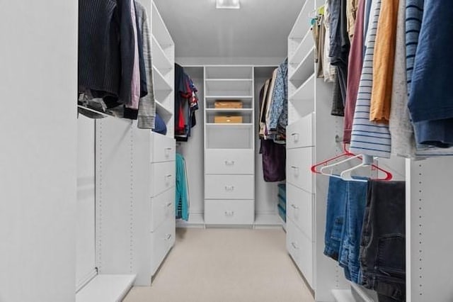 walk in closet with light colored carpet